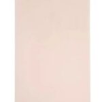 VITER ARRIERE IPHONE 8 PLUS / 8+ GOLED ( BACK COVER )