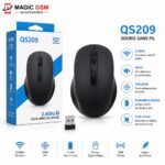 SOURIS S/F QS 209